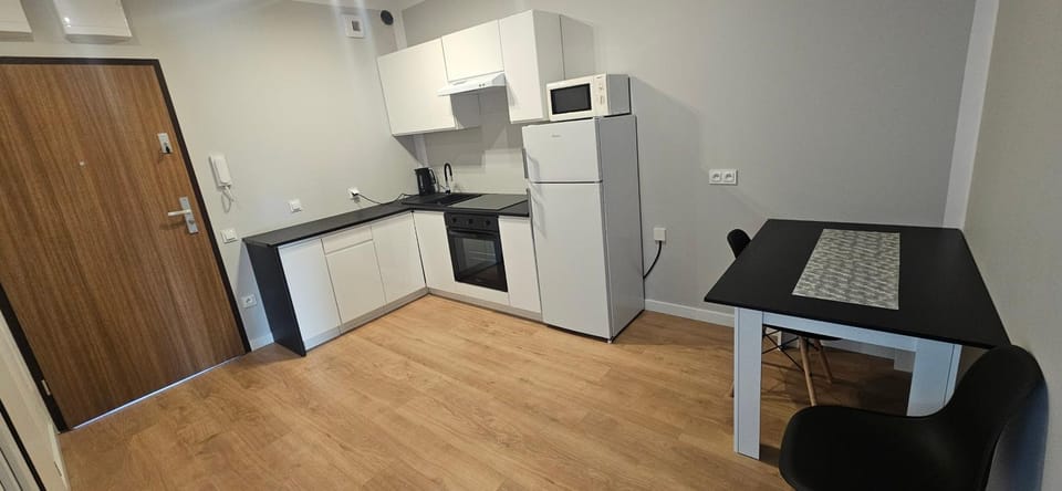 Apartament przy Stadionie Vacation rental in Poznan
