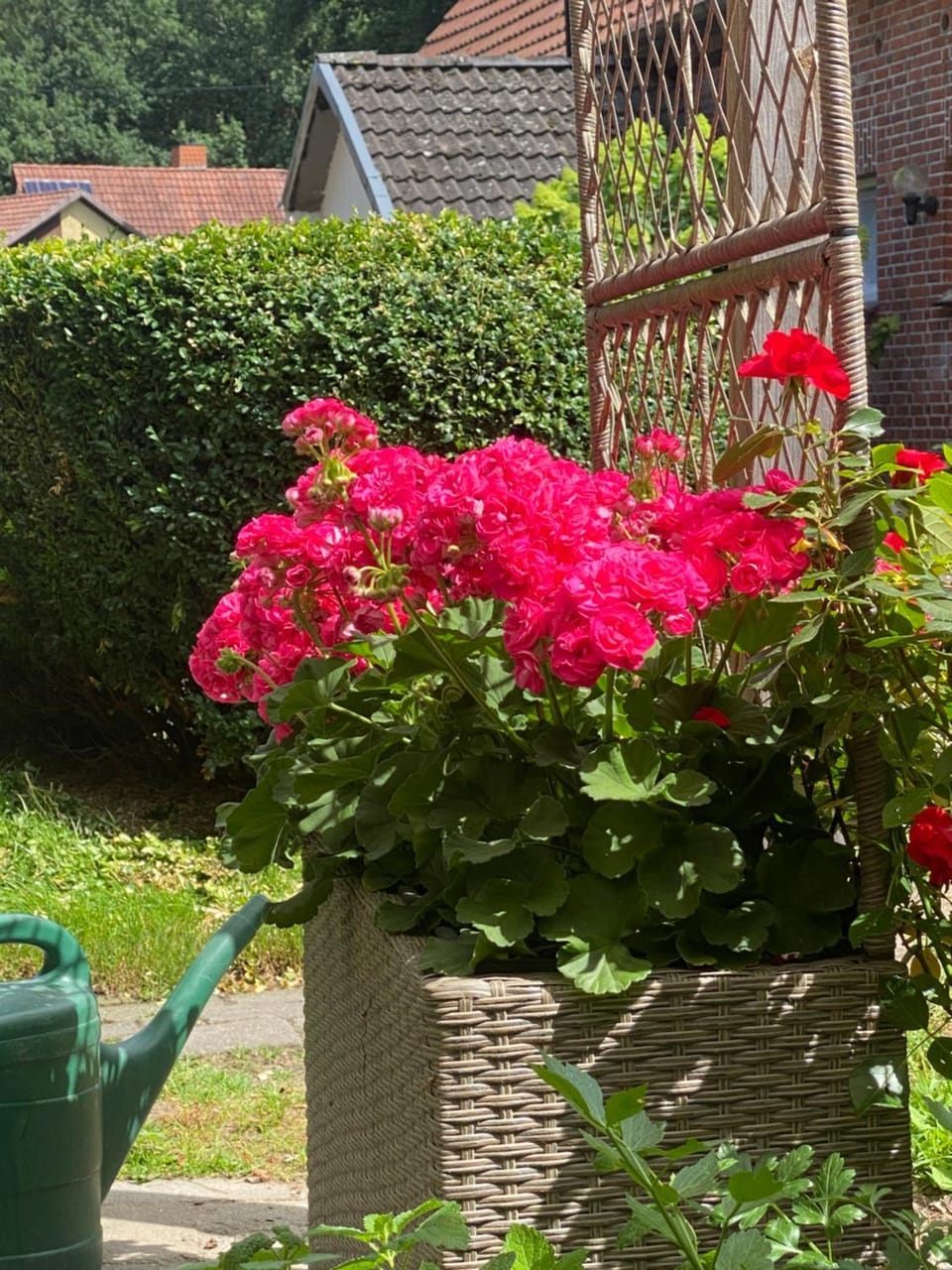 Wunderschöne Ferienwohnung zwischen Bremen und Hamburg Apartment in Schleswig-Holstein