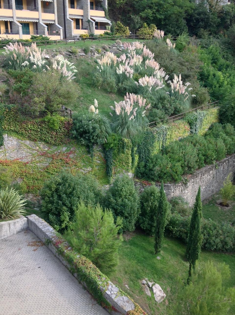 Day, Garden view