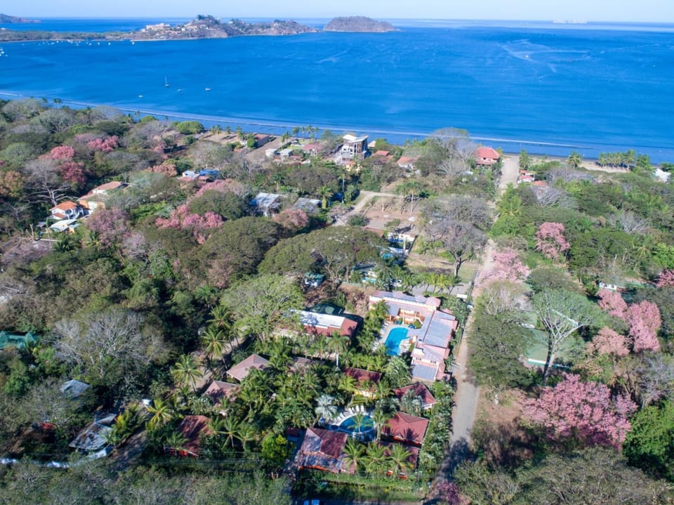 Property building, Nearby landmark, Day, Natural landscape, Bird's eye view, Beach, City view, Sea view
