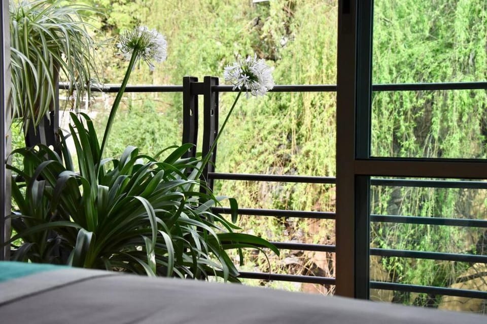 Beautiful LOFT in Trendy ROMA-CONDESA Elevator Apartment in Mexico City