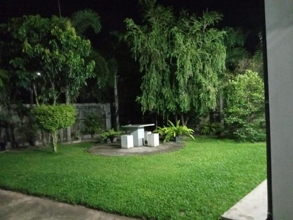Garden, Garden, Garden view