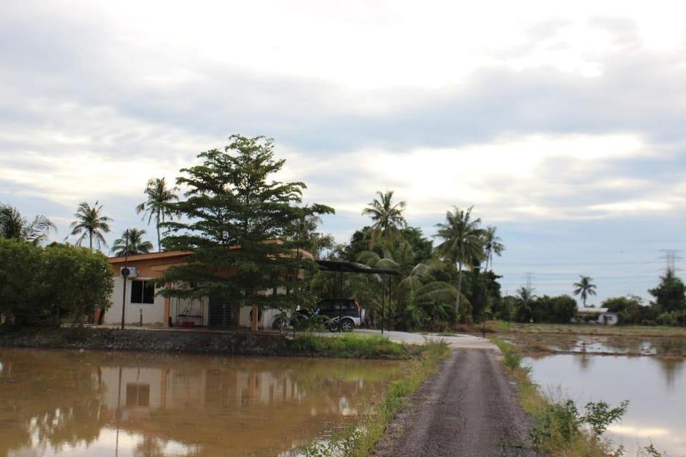 Arau Pulau Hilir Home House in Kedah