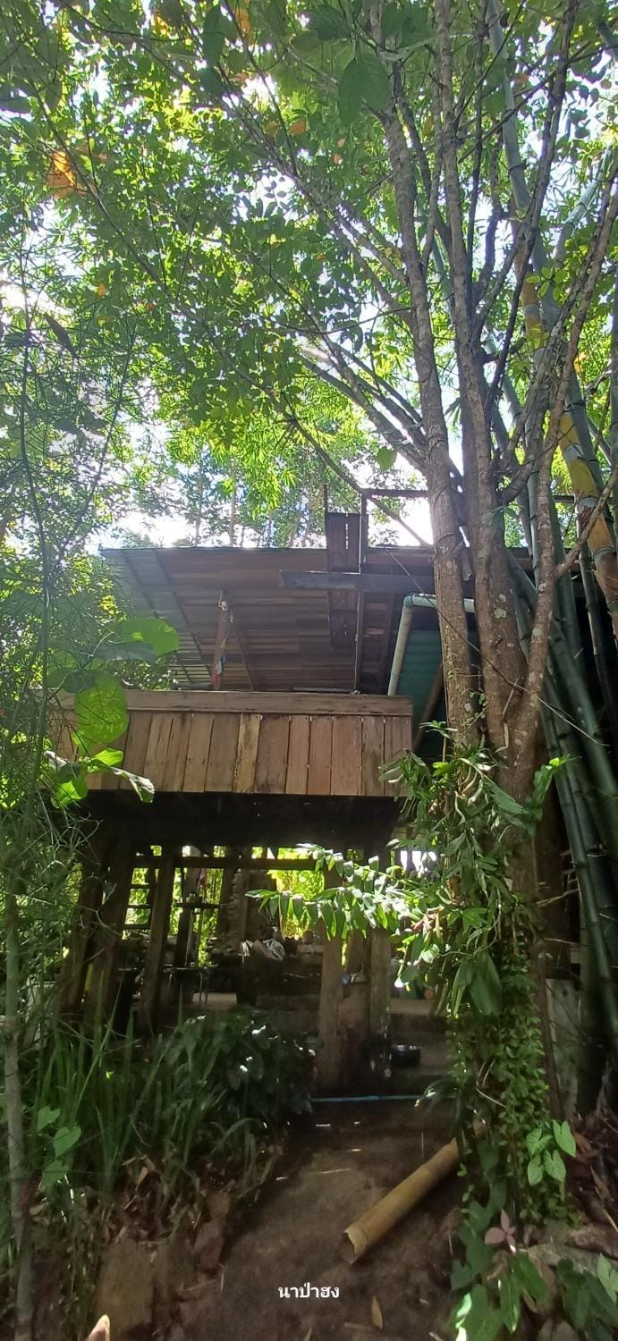Facade/entrance, Natural landscape, Inner courtyard view