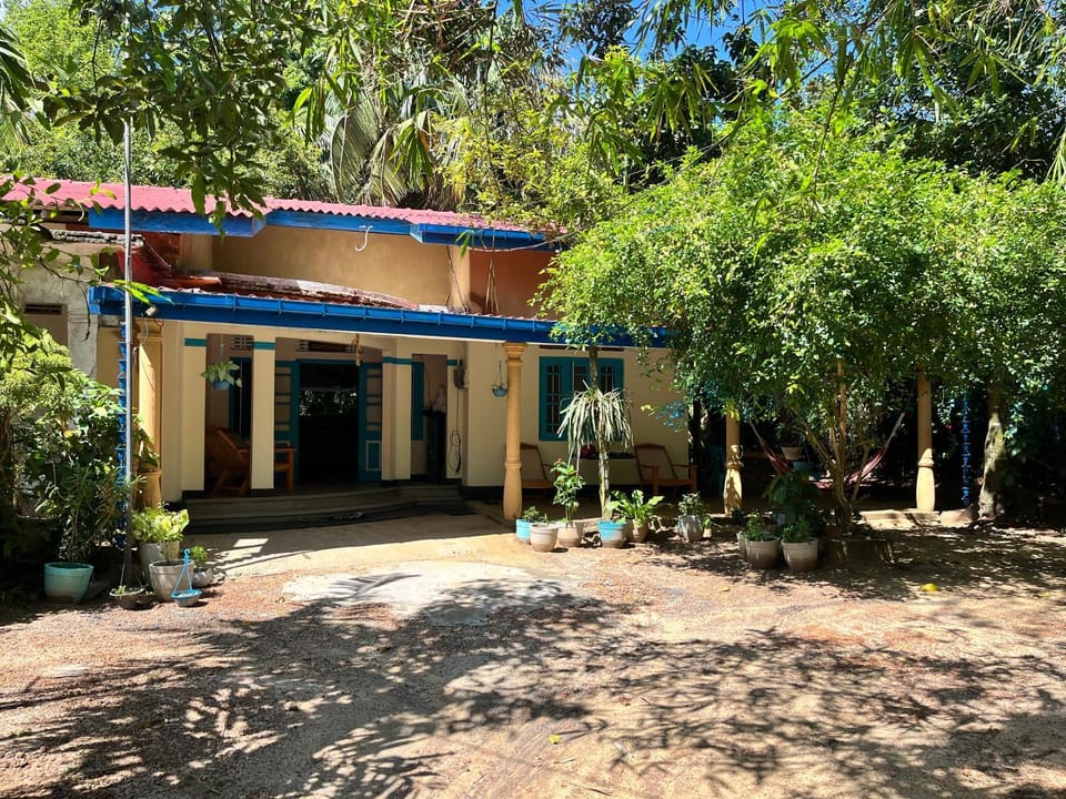 Property building, Garden, Garden view