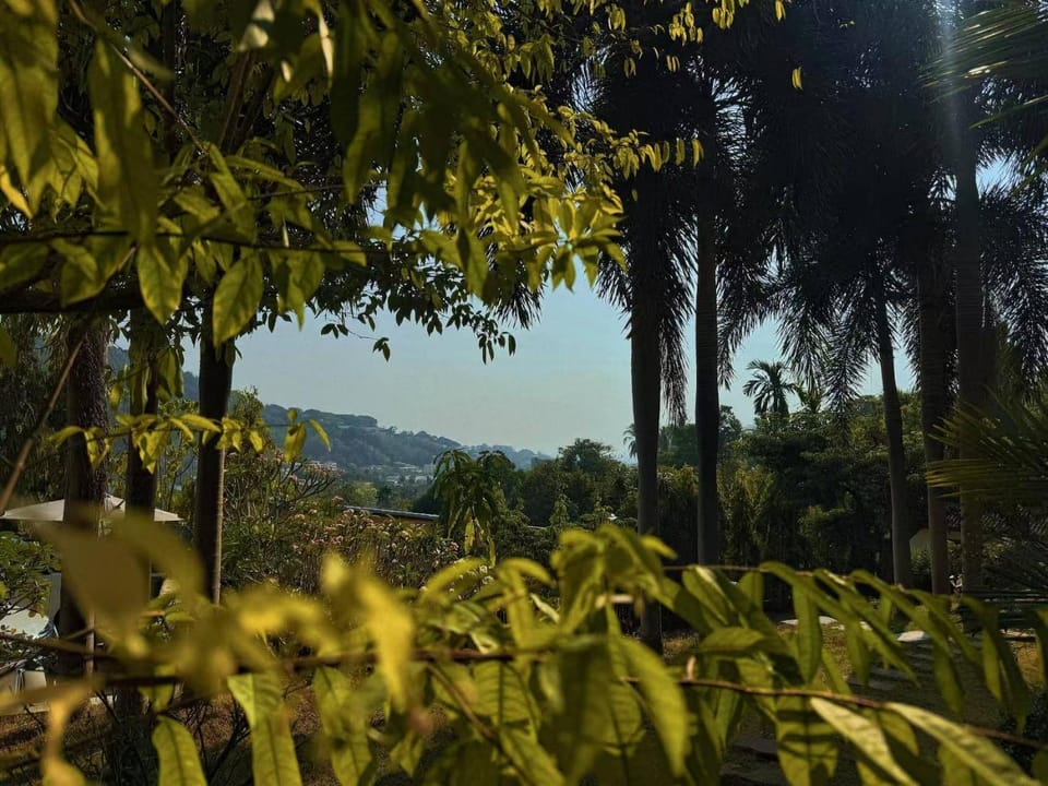 Mountain view