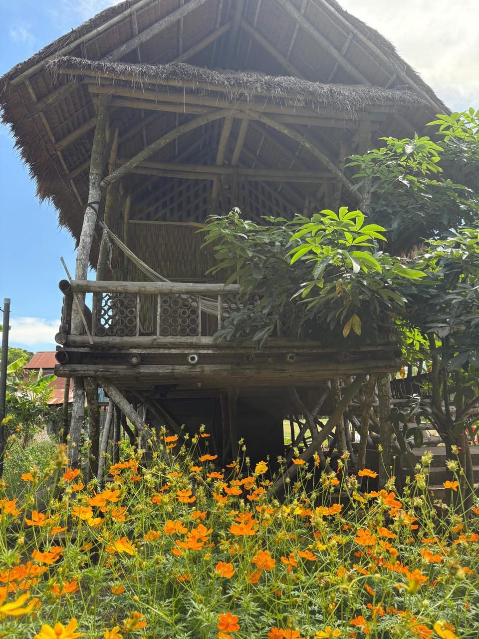 Spring, Day, Garden, Balcony/Terrace, Garden view