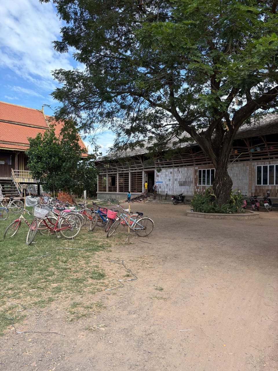 Garden, Sports, children, older children