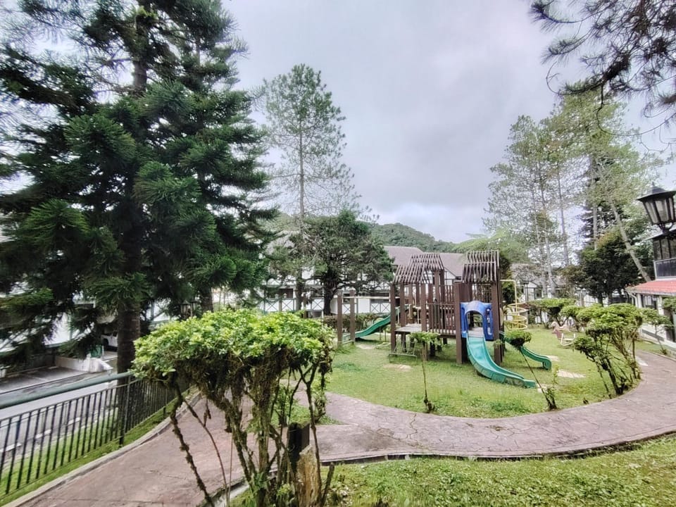 Children play ground