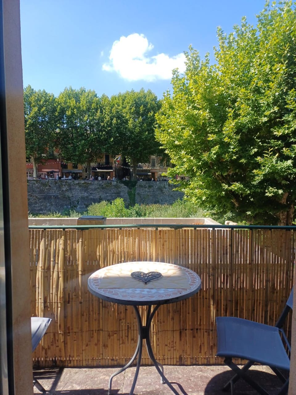 À côté du Pont Vieux - By the Old Bridge Apartment in Provence-Alpes-Côte d'Azur