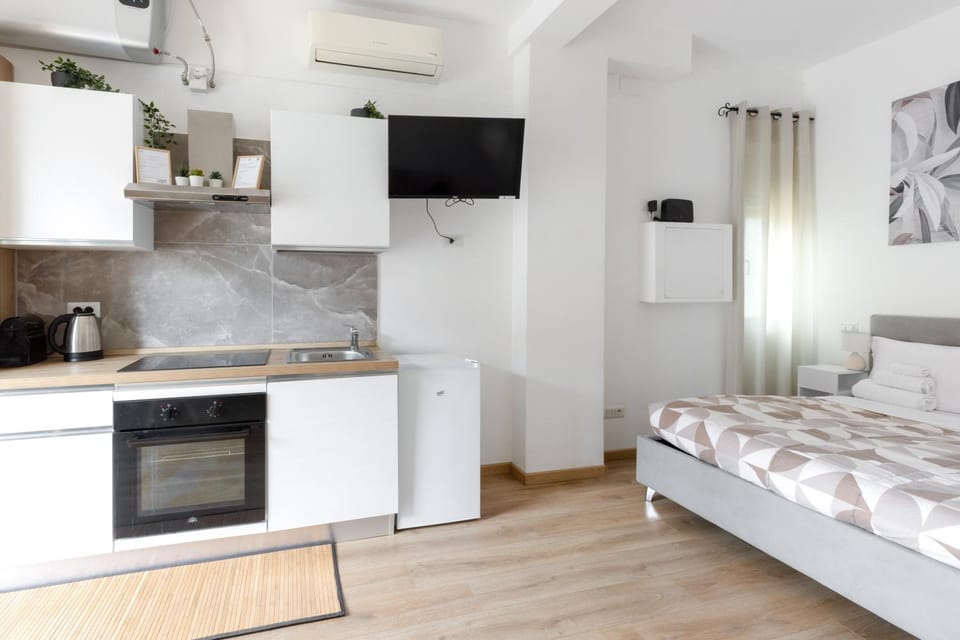 Bed, TV and multimedia, Coffee/tea facilities, Kitchen or kitchenette, Photo of the whole room, Bedroom, oven, stove