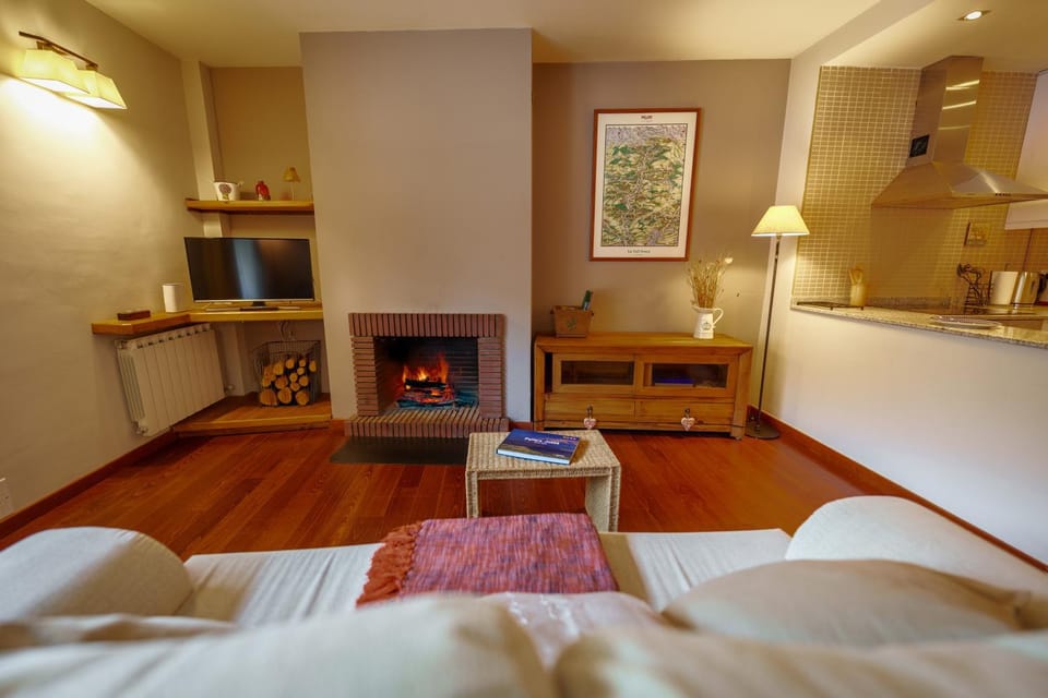 TV and multimedia, Kitchen or kitchenette, Living room, Photo of the whole room, Seating area, Bedroom, stove