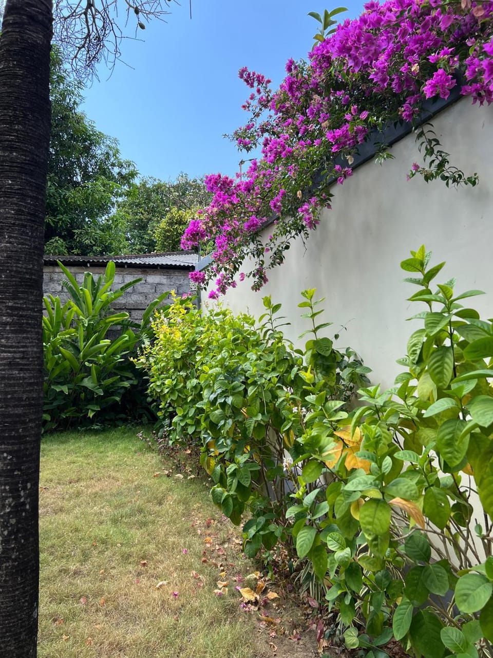 Garden, Garden view