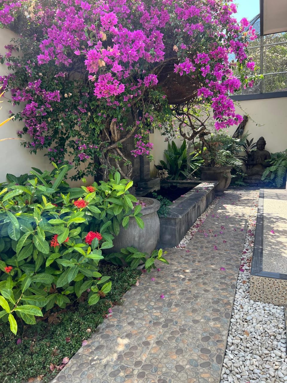 Day, Garden, Garden view
