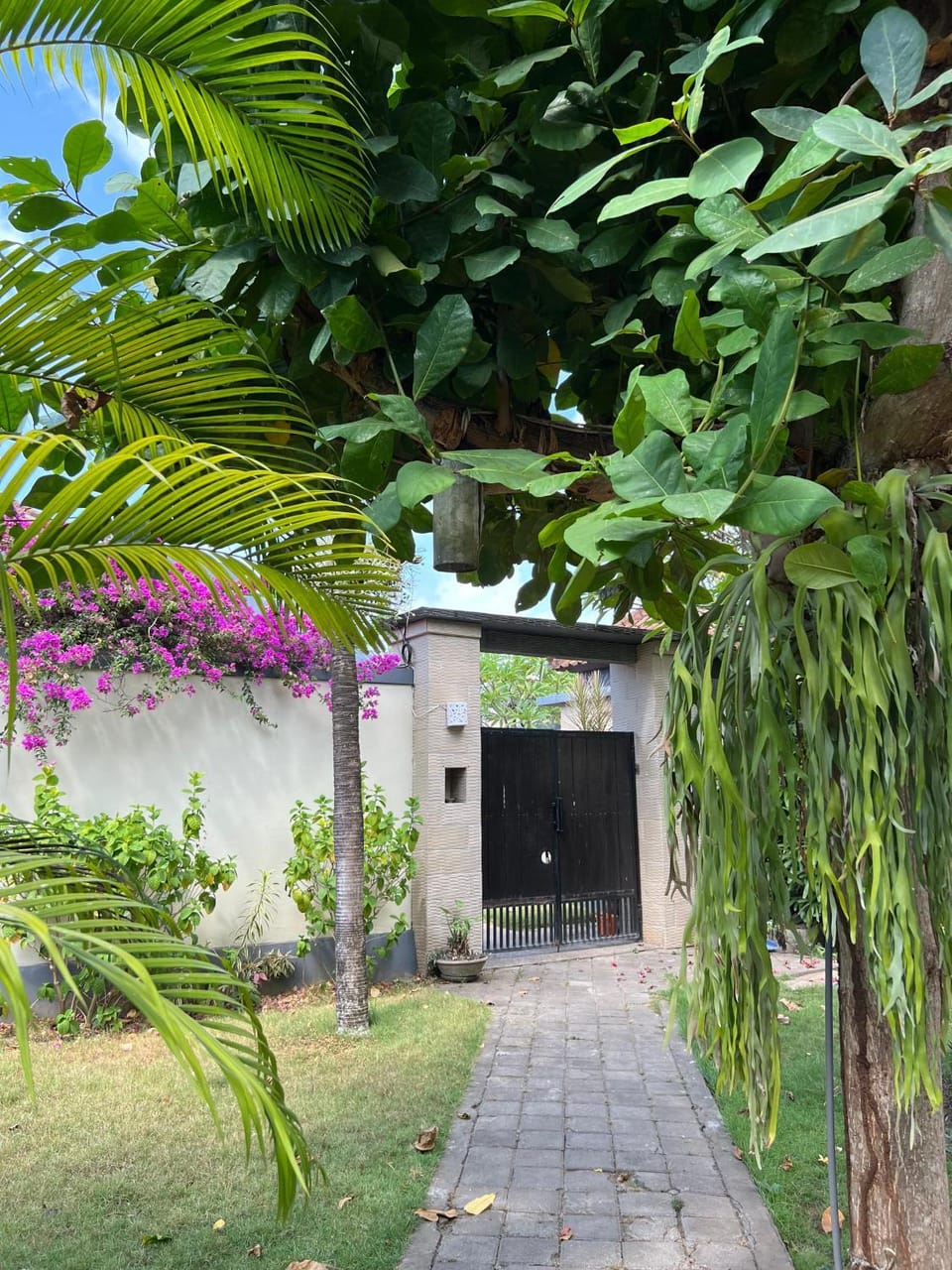 Property building, Spring, Day, Garden, Garden view
