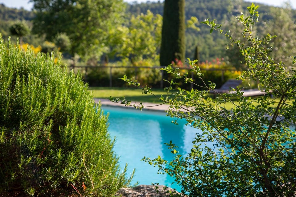Natural landscape, Garden view, Mountain view, Swimming pool, Swimming pool