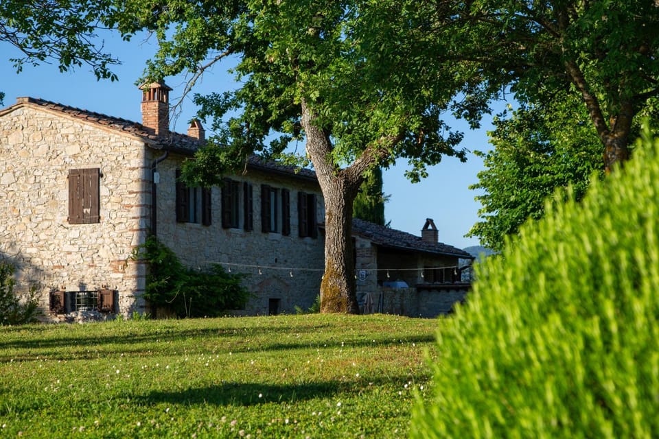 Property building, Day, Natural landscape, Garden, Garden view