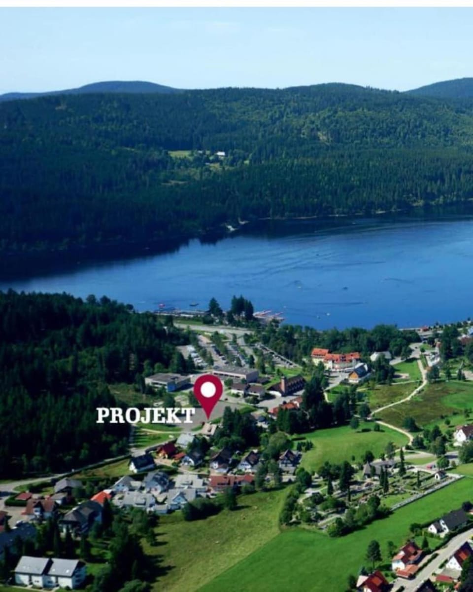 Bird's eye view, Lake view