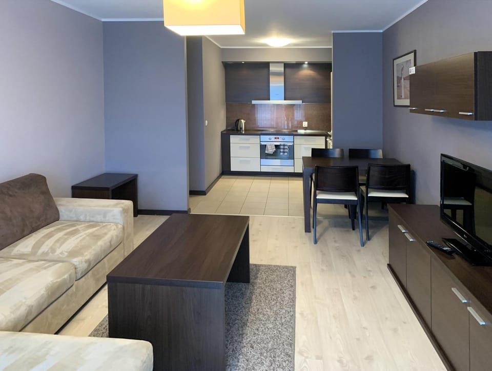 TV and multimedia, Kitchen or kitchenette, Living room, Photo of the whole room, Seating area, Dining area
