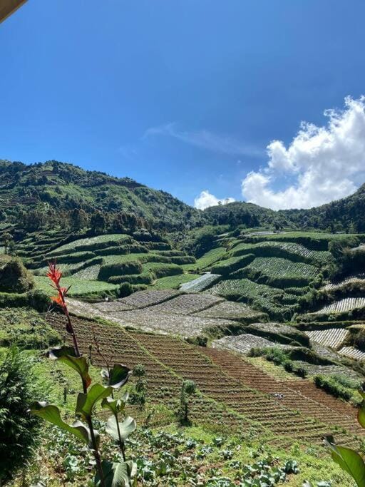 Natural landscape, Mountain view