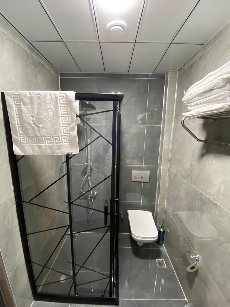 Shower, Toilet, Bathroom, towels