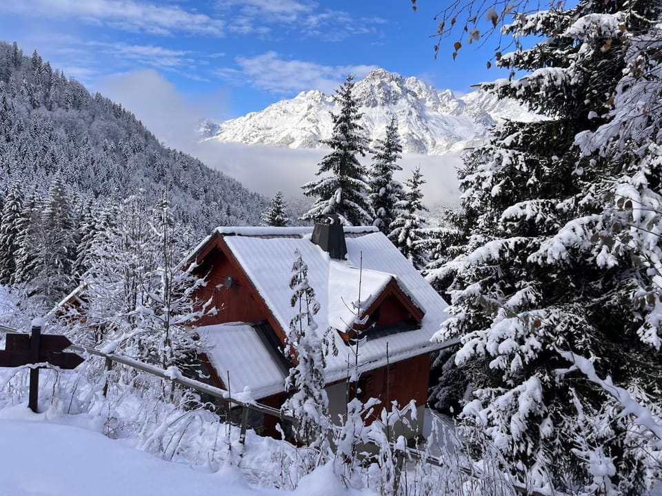 Vrijstaand chalet in het groen met ruim terras en 6 slaapkamers House in Oz