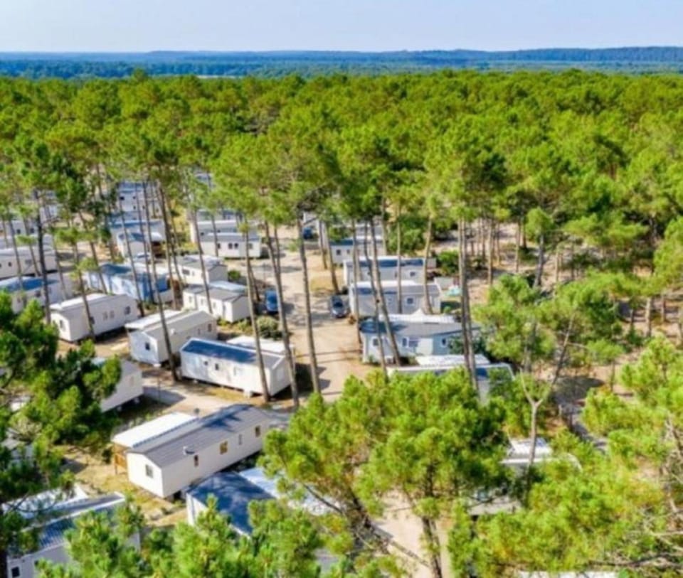 Natural landscape, Bird's eye view, View (from property/room)
