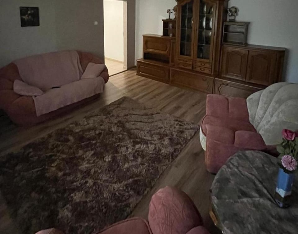 Cozy Apartment Apartment in Romania