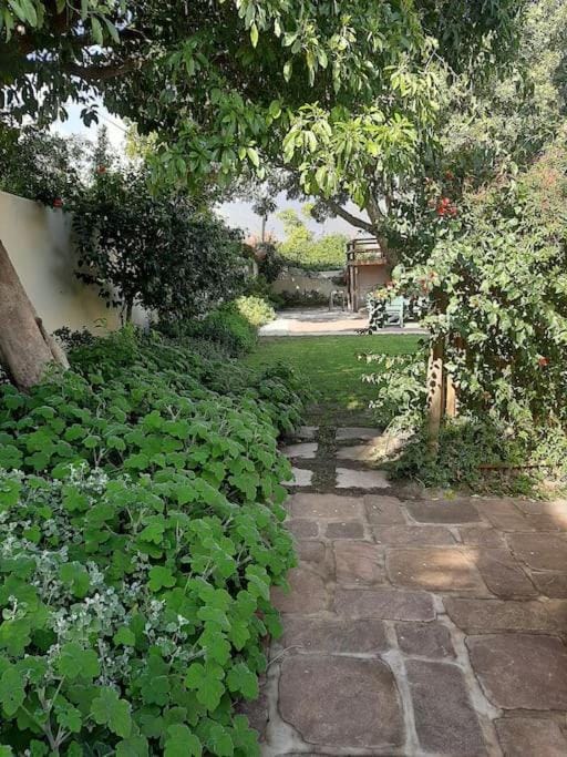 Klein La Cotte Garden Cottage Apartment in Franschhoek