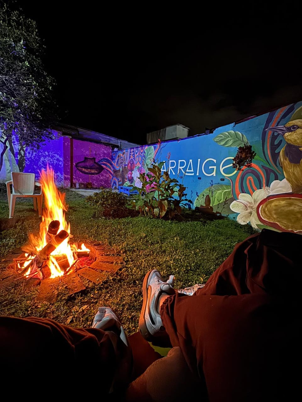 Night, Evening entertainment, Garden view
