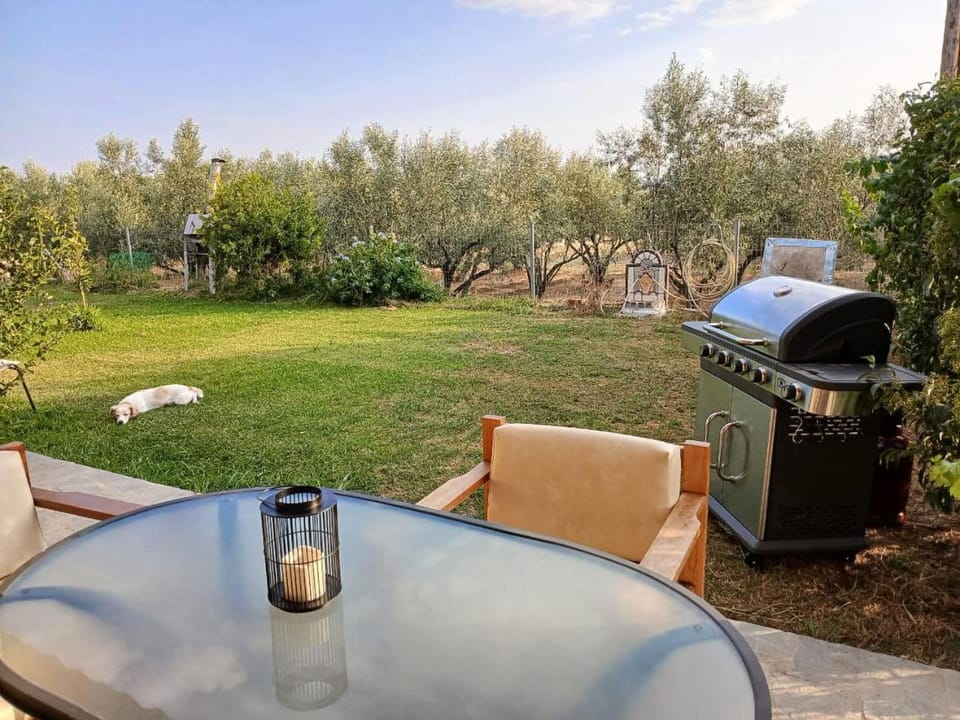 Natural landscape, BBQ facilities, Garden, Balcony/Terrace, Garden view