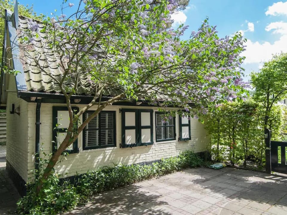 Property building, Summer