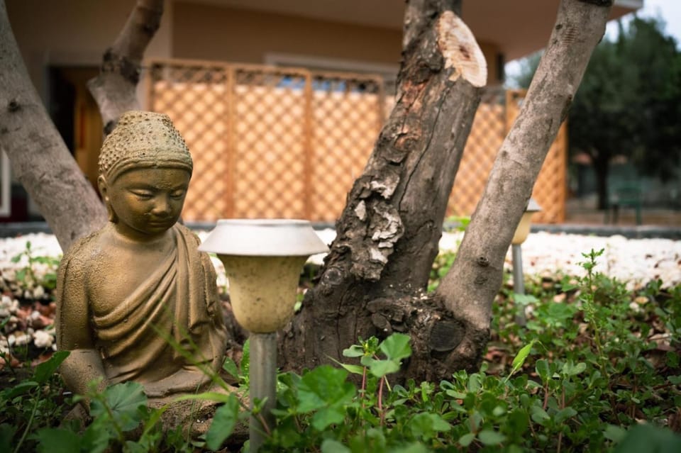 Day, Garden