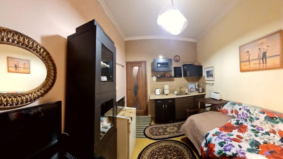 Bed, TV and multimedia, Kitchen or kitchenette, Living room, Photo of the whole room, Bedroom