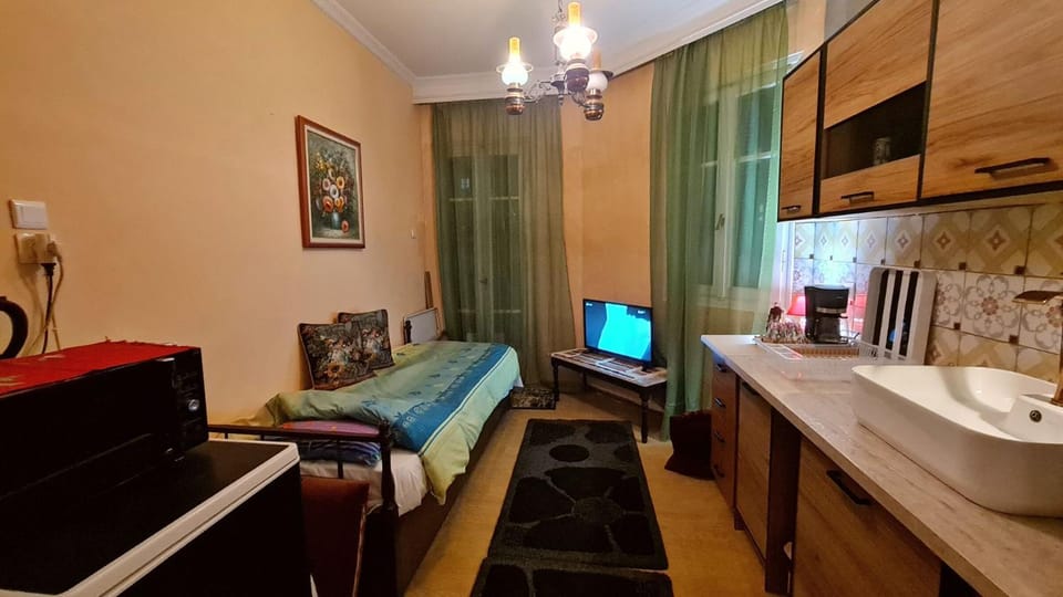 Bed, TV and multimedia, Kitchen or kitchenette, Photo of the whole room, Bedroom