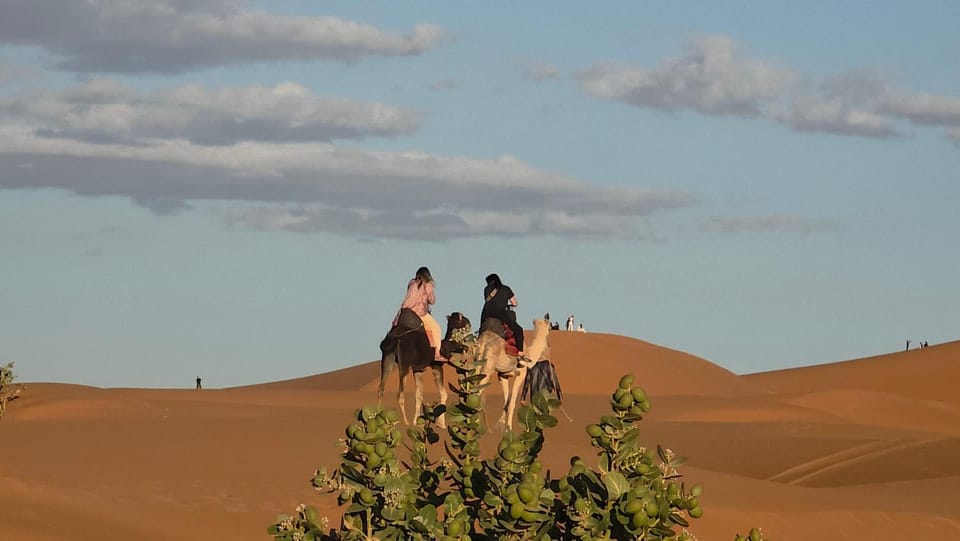 Royal Sahara Dome Camp Hotel in Morocco