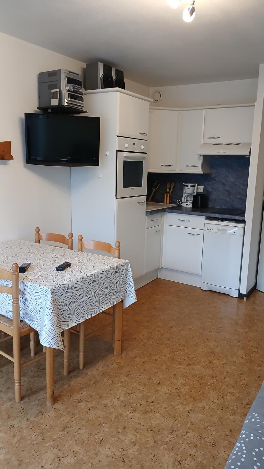 Appar T2 3 lits vue montagne terrasse vielle aure Apartment in Saint-Lary-Soulan