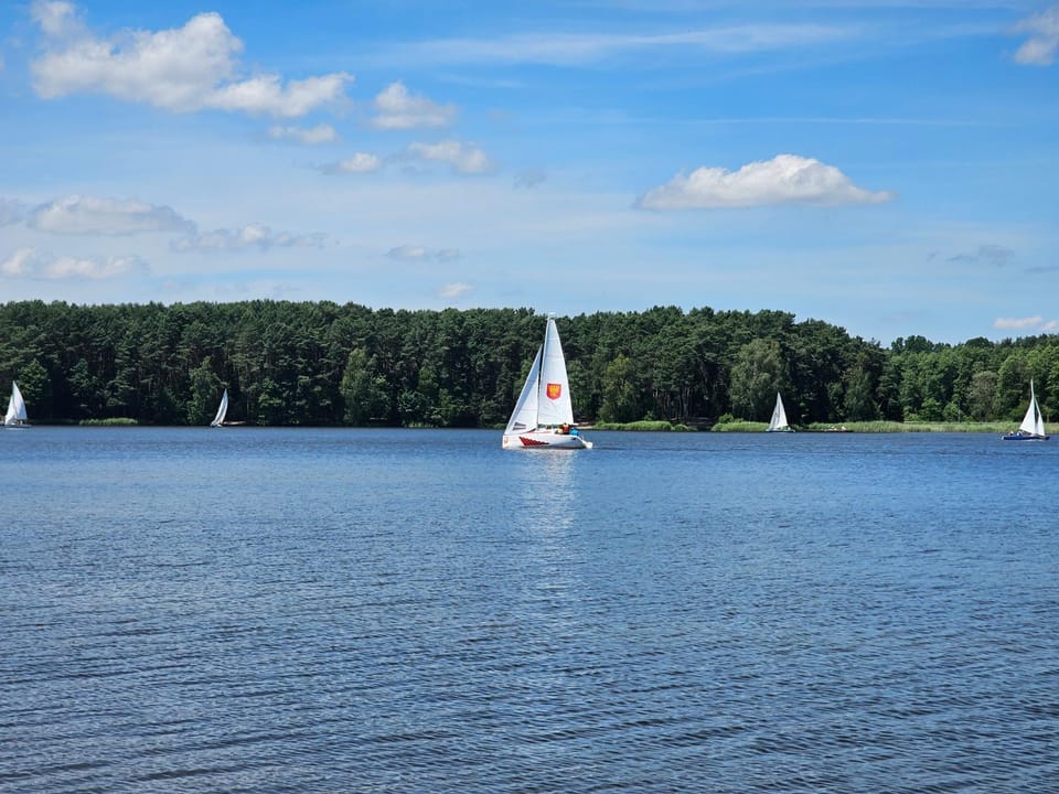 Lake view