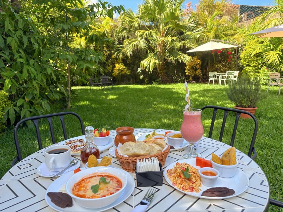 Garden, Food and drinks, Dining area, Breakfast, Continental breakfast, Drinks