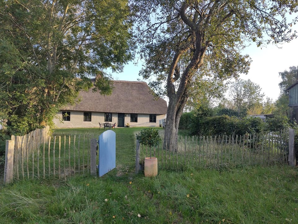 Property building, Garden, Garden view