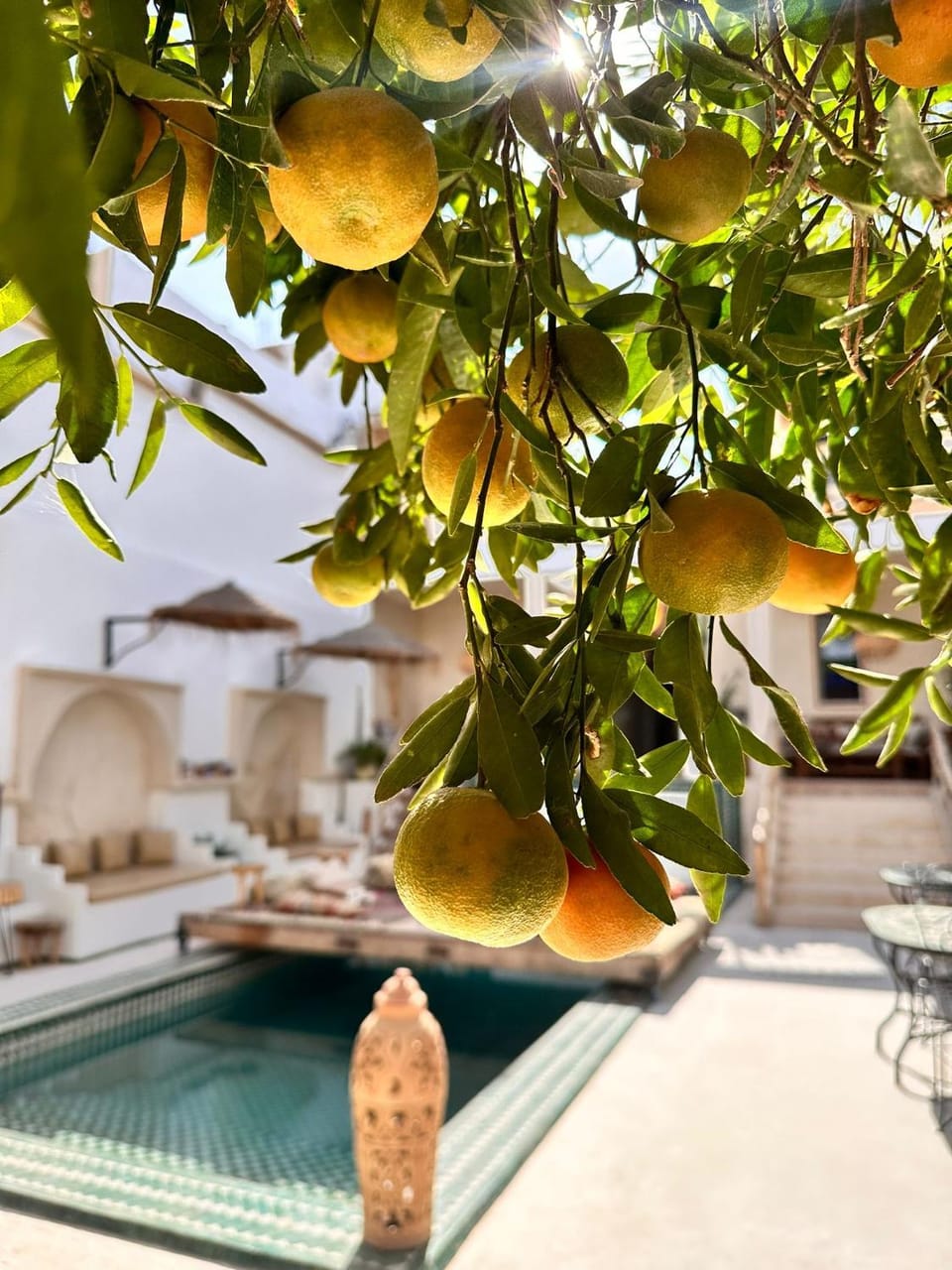 Dar Salam Souss Bed and Breakfast in Souss-Massa