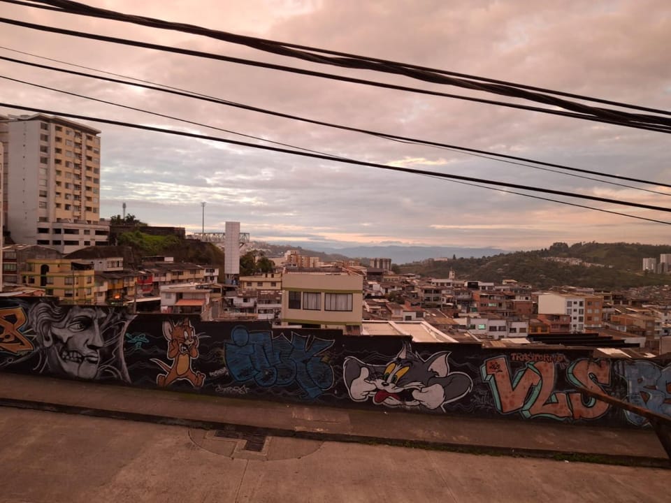 View (from property/room)