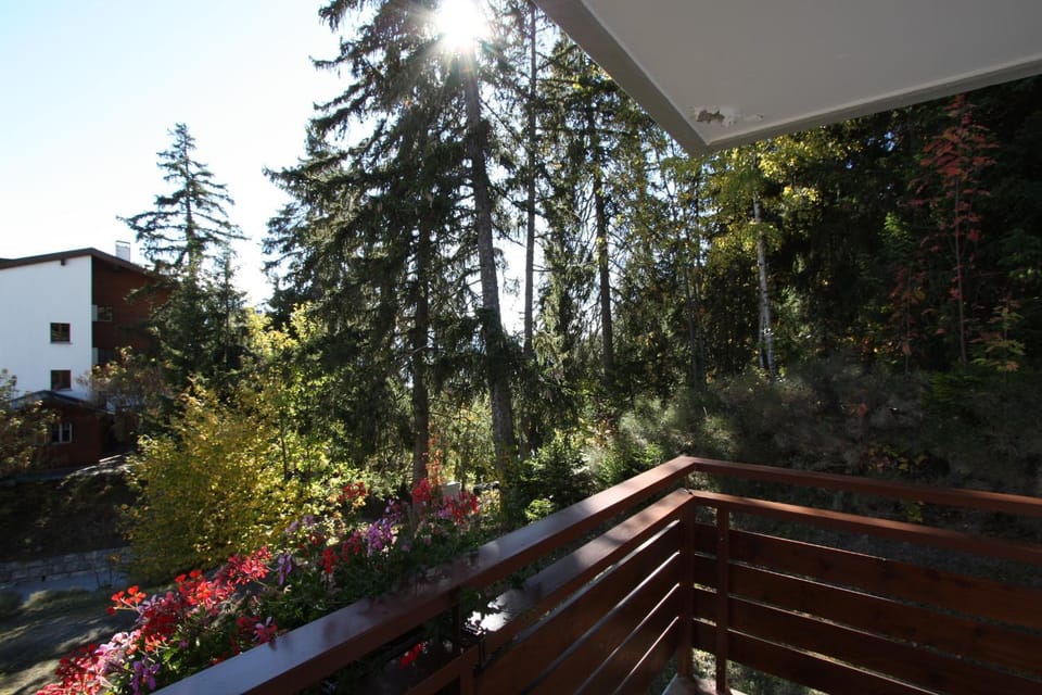 Residence Tsaumiau Apartment in Crans-Montana