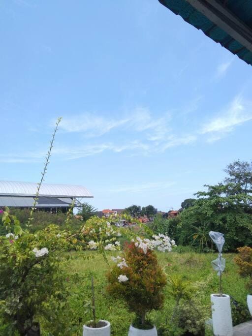 Day, Natural landscape, Garden view