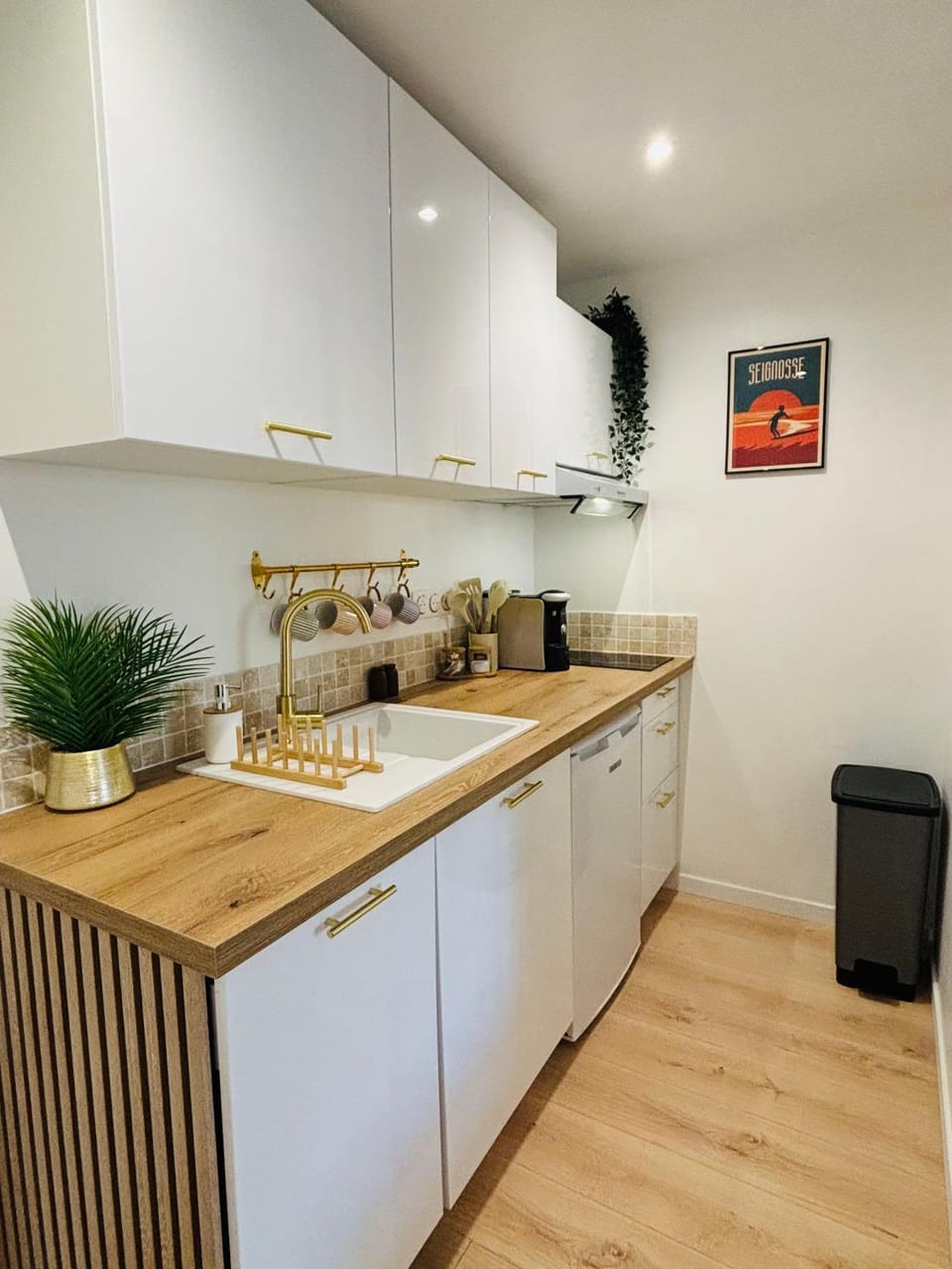 Coffee/tea facilities, Kitchen or kitchenette, Decorative detail, dishwasher, minibar, stove