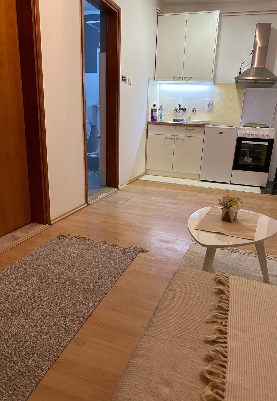 Lovely one bedroom Apartment in Belgrade