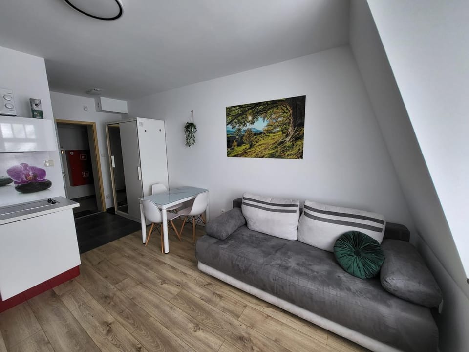 Relax Apartment in Lower Silesian Voivodeship