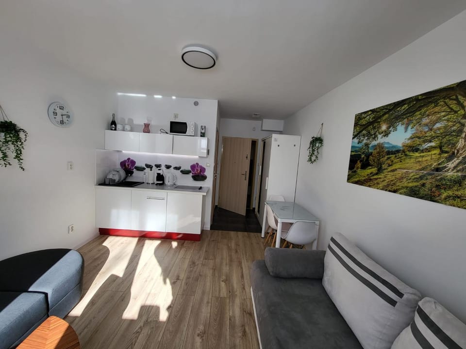 Relax Apartment in Lower Silesian Voivodeship