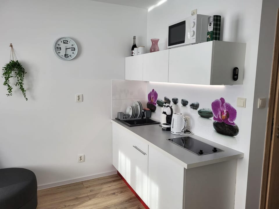Relax Apartment in Lower Silesian Voivodeship