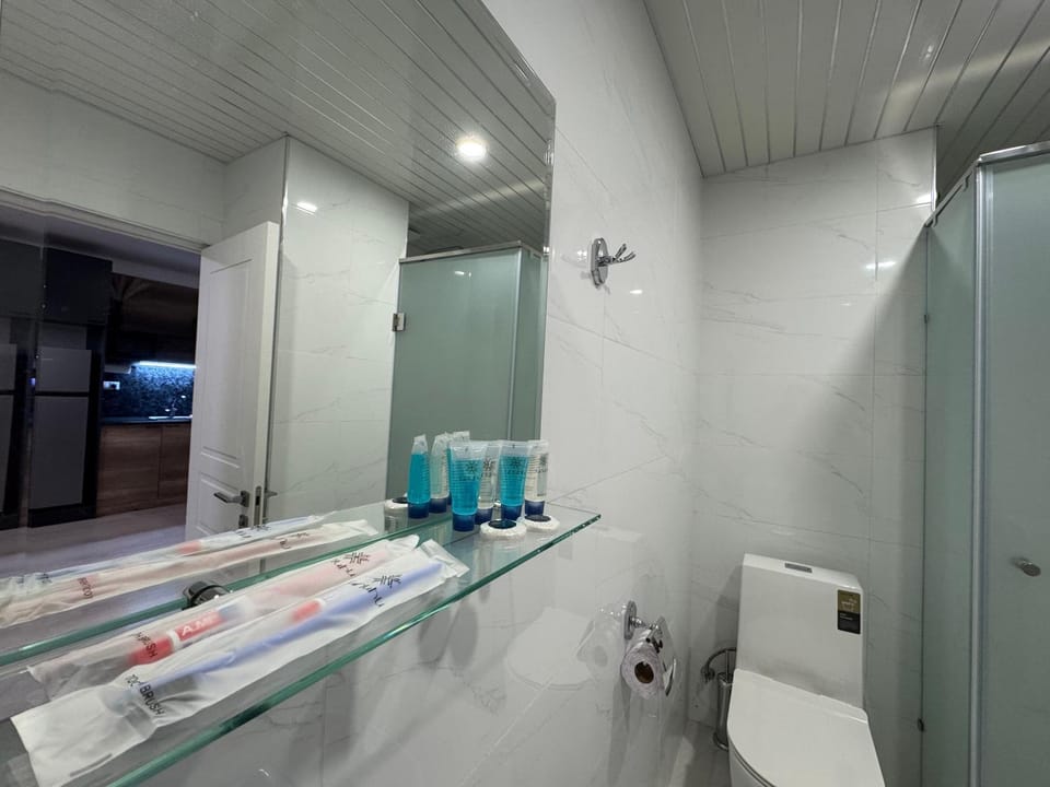 Shower, Toilet